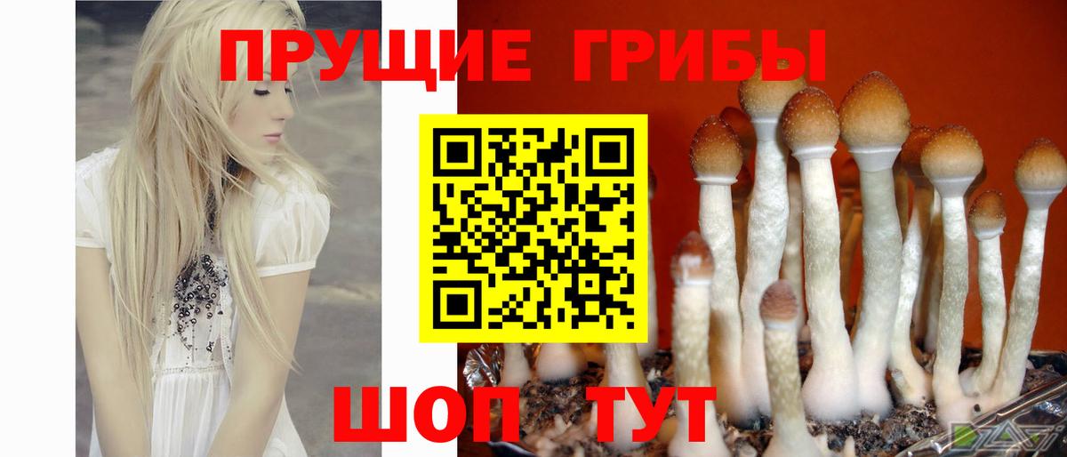 Галлюциногенные грибы ЛСД Городец